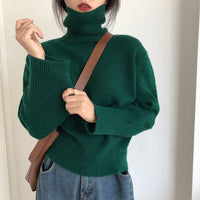 Pile up turtleneck  women's sweater top