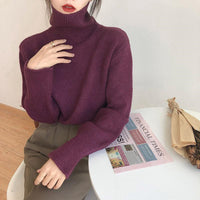 Pile up turtleneck  women's sweater top